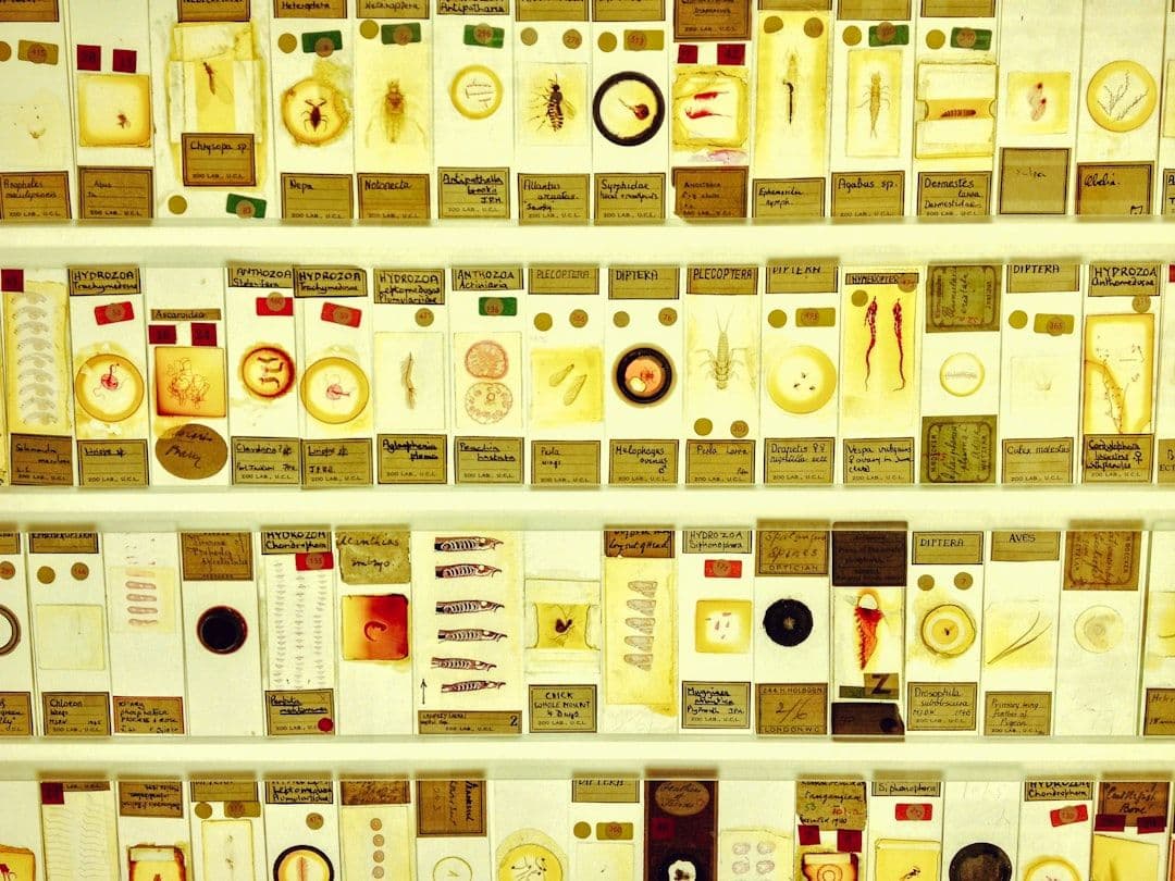 Saúde em Foco: Novidades em Vacinação e Doenças Respiratórias